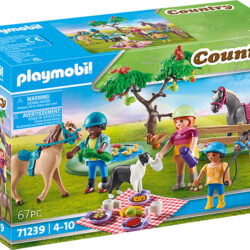 Playmobil Picnic Adventure with Horses