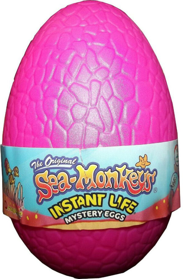 Sea Monkey - Mystery Egg - Uncle Buddy's Toy Stash
