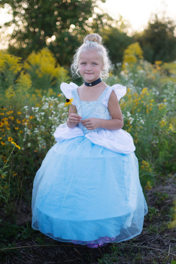 Deluxe Cinderella Gown (Size 5-6)