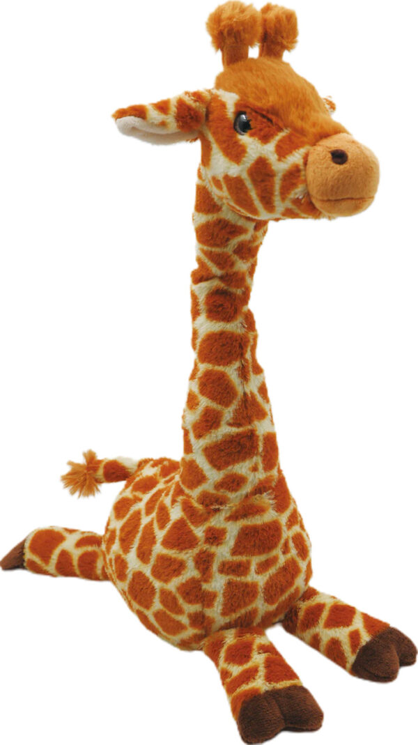 Groovy Giraffe