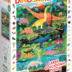 Observation Puzzle Dinosaurs
