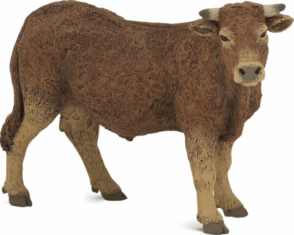 Limousine Cow