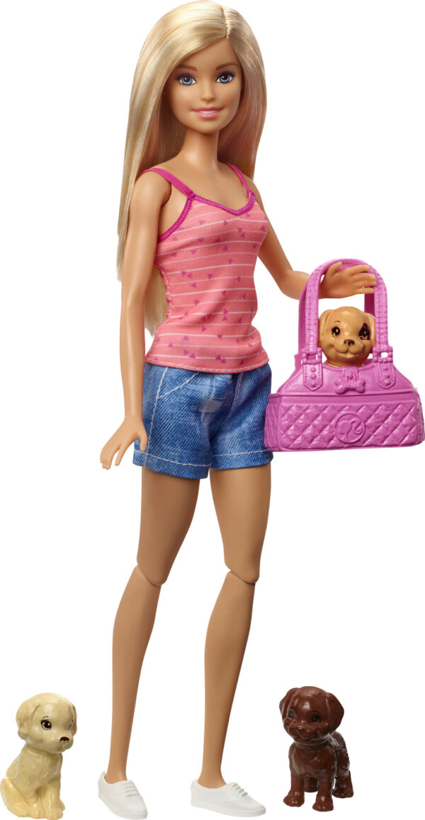 Barbie Doll & Accessories - GDJ37