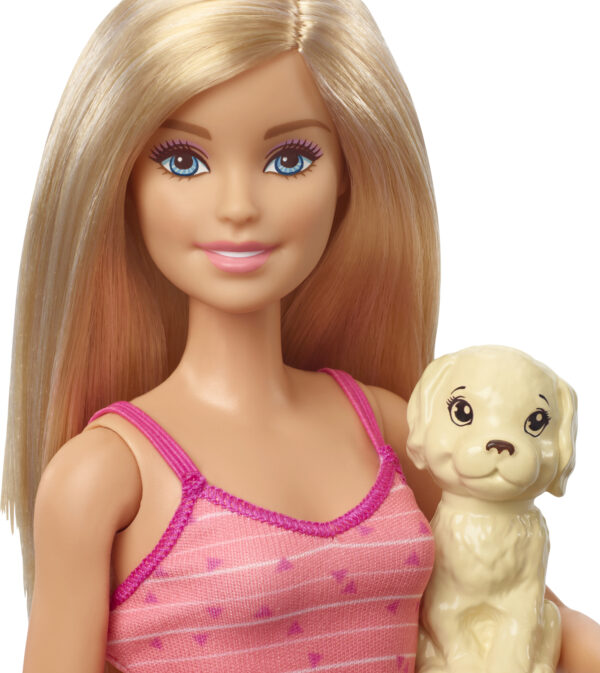 Barbie Doll & Accessories - GDJ37