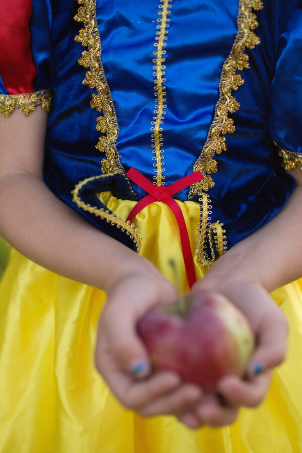 Deluxe Snow White Gown (Size 5-6)
