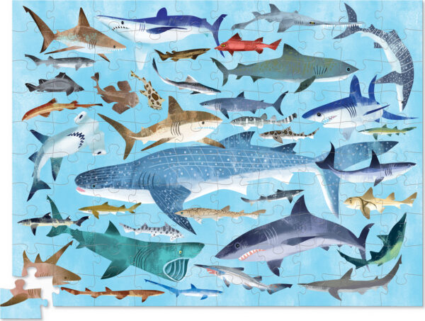 100-pc 36 Puzzle - Sharks