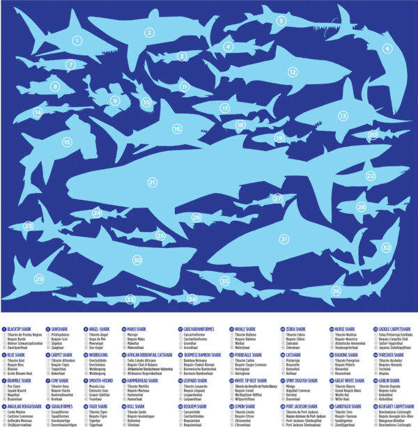 100-pc 36 Puzzle - Sharks