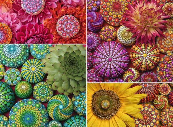 Color Your World Series — Mandala Blooms