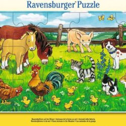 Farm Animals in the Meadow