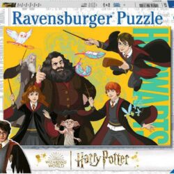 Harry Potter (100 Piece Puzzle)